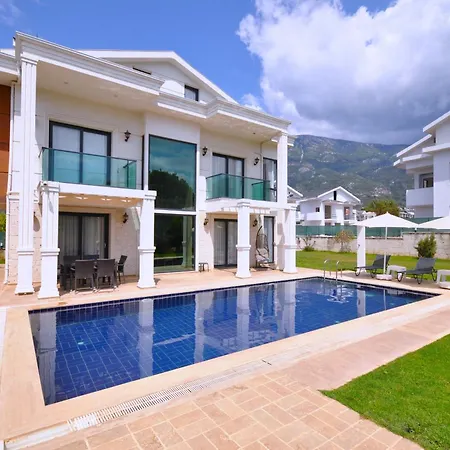 Splendid *